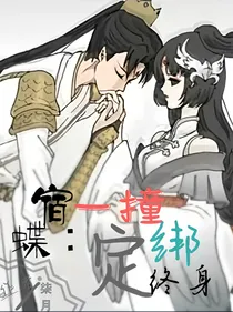 宿蝶：一撞绑定终身