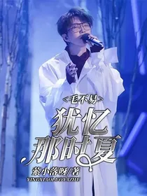 毛不易：犹忆那时夏