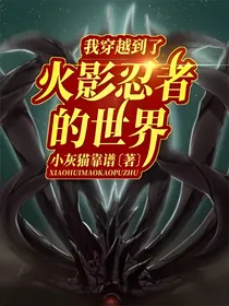 我穿越到了火影忍者的世界