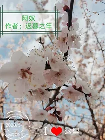 阿奴