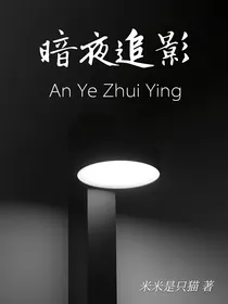 暗夜追影