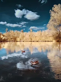 校园风景
