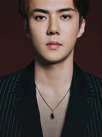 EXO：一介汤魂