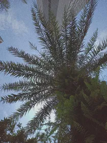 水果小贩日记