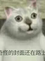 深夜档案（停更完善中）