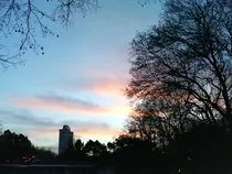 夜的E小大调