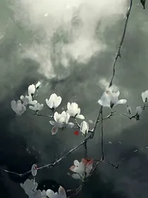 秋煞