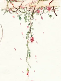 一千零一页
