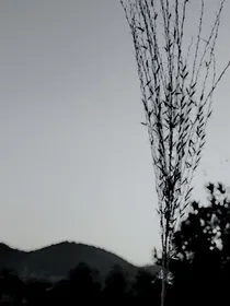 穿越救赎之凹凸世界