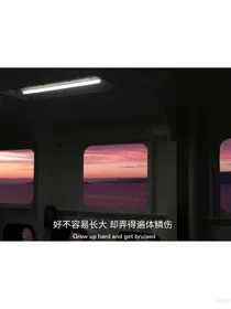 紫罗兰下的爱恋——d727