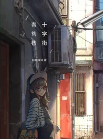 十字街，青苔巷