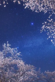 江湖任我走