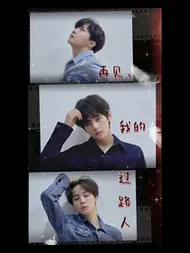 BTS：过路人