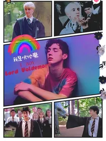 HP我是伏地魔（np）
