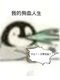 我的狗血人生