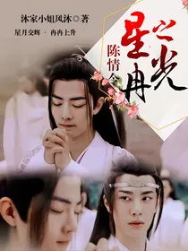 陈情令：星冉之光