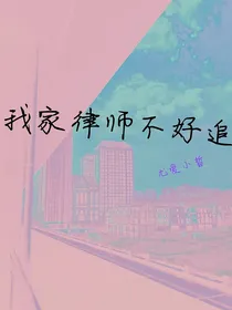 我家律师不好追