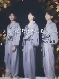 王家小少爷之你只是个下人