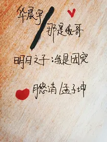 华晨宇——那是我哥