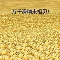 作者懒得取名