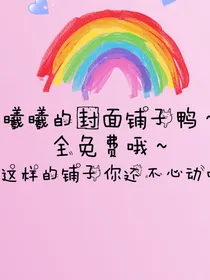 曦曦的封面铺子鸭