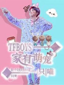 Tfboys—家有萌宠一只喵