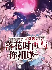 落花时再与你相逢