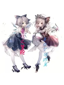 查九之梦轮
