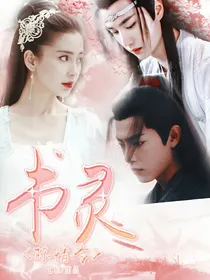 陈情令：书灵