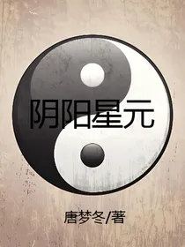 阴阳星元