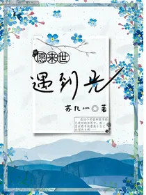 愿来世遇到光