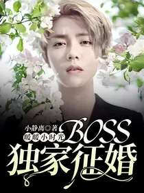 暖暖小时光，boss独家征婚
