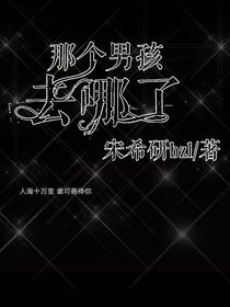 那个男孩在去哪了