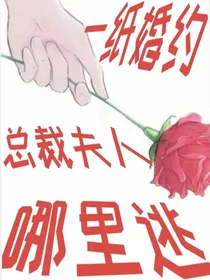 一纸婚约：总裁夫人哪里逃