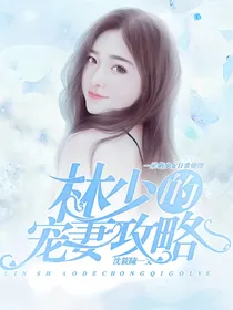 林少的宠妻攻略