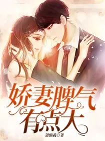 娇妻脾气有点大