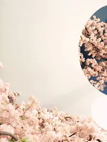 三生三世十里桃花玄女重归
