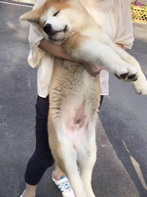 小黑帅帅的