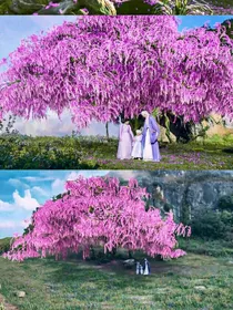 十里桃花——三生姻缘-d162