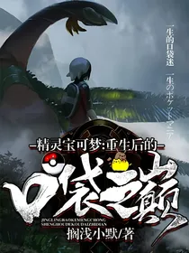 精灵宝可梦：重生后的口袋之巅