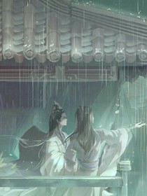 陈情令后续：仙督追美记