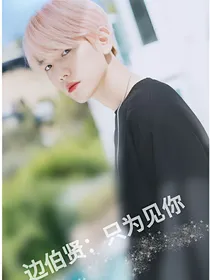 边伯贤：只为见你