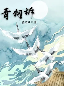 青何诉