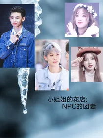 小姐姐的花店：NPC的团妻