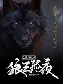 狼王孤夜之几世轮回