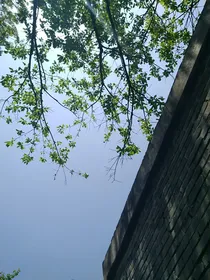 挥挥手