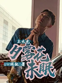 王九龙：夕雾花未眠