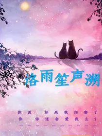 洛雨笙声溯