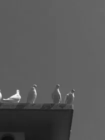 罪之过