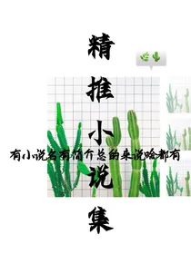 精推小说集